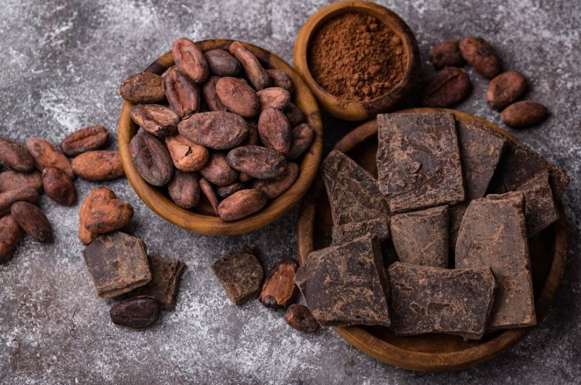 chocolate para perros